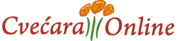 cvecara beograd